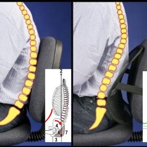 АНАТОМИЧНА ОБЕГАЛКА ЗА КРЪСТ "Lumbar Support"